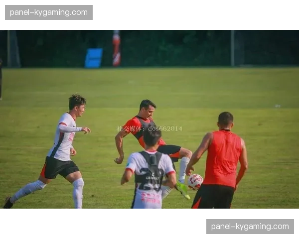 成都蓉城更换主帅改打4231，新帅阿洛伊西冲击冠军面临体系重组